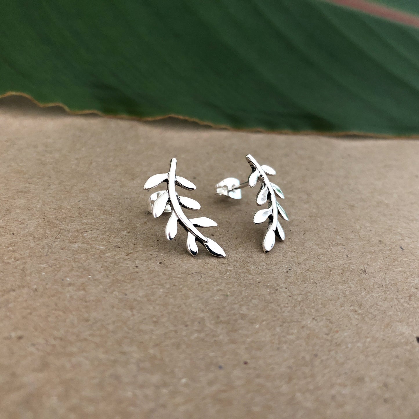 Aretes De Plata | Laurel