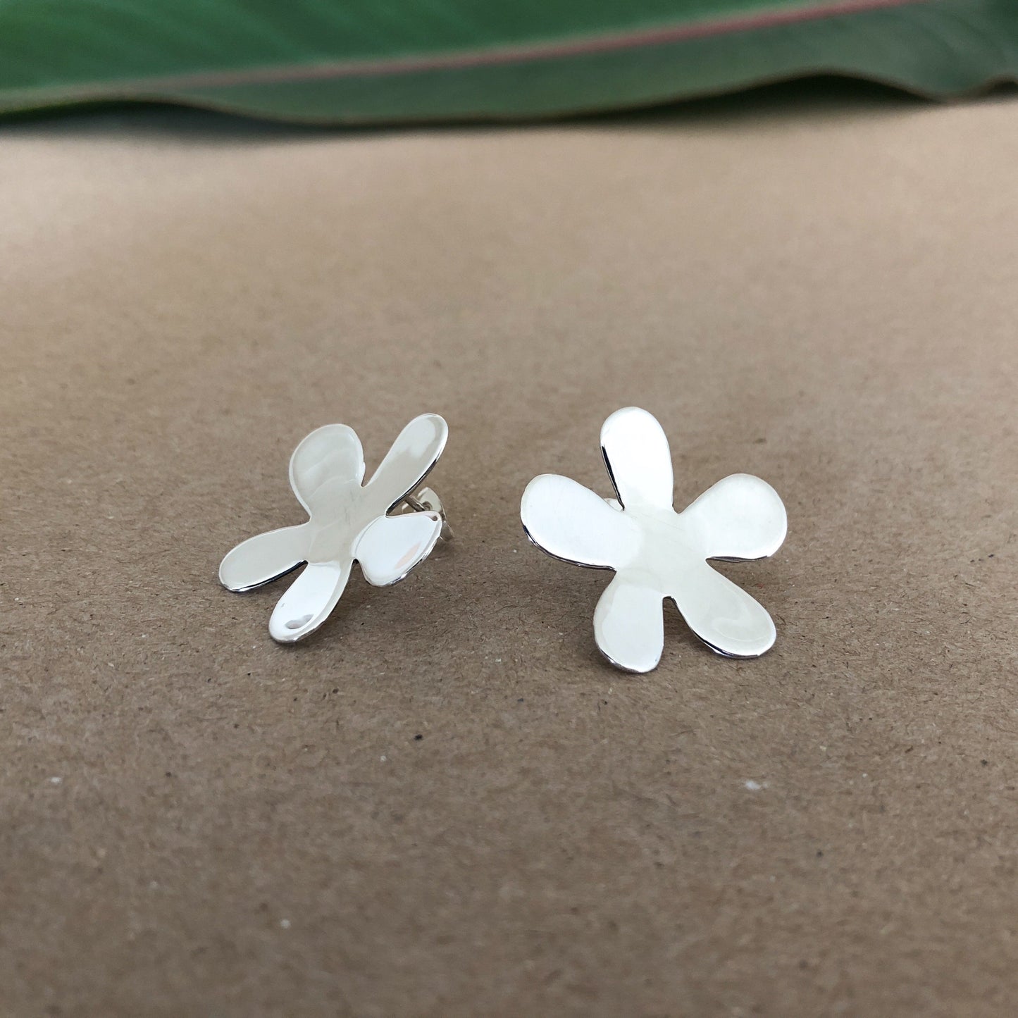 Aretes De Plata | Diana #3