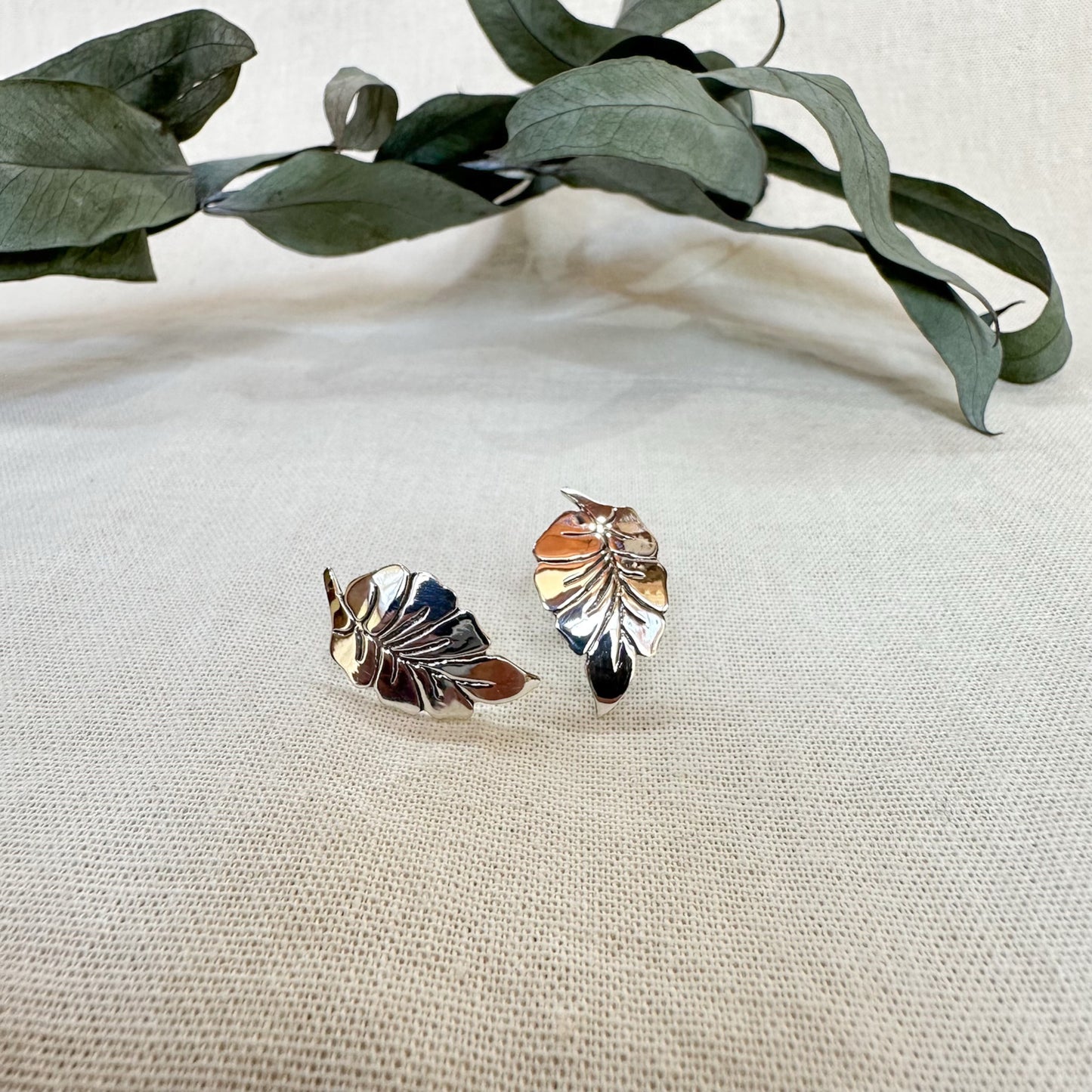 Arete En Plata ⎮ Arete Otoño #1