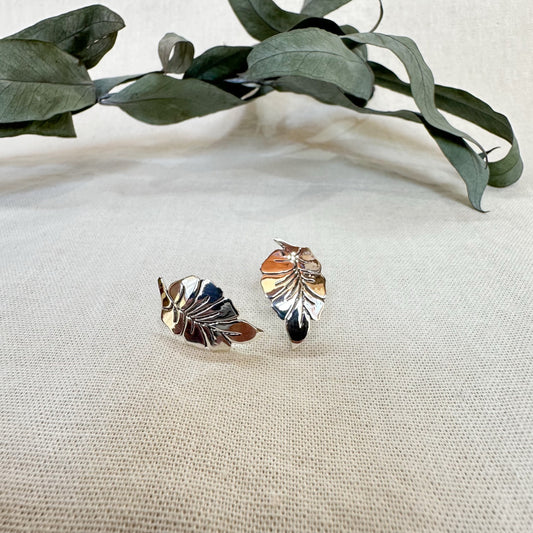 Arete En Plata ⎮ Arete Otoño #1